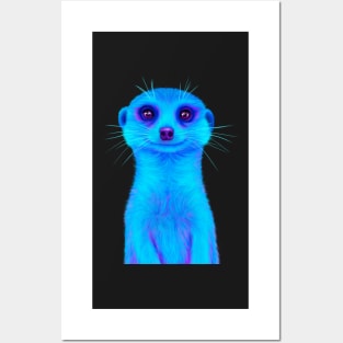 Blue Meerkat Posters and Art